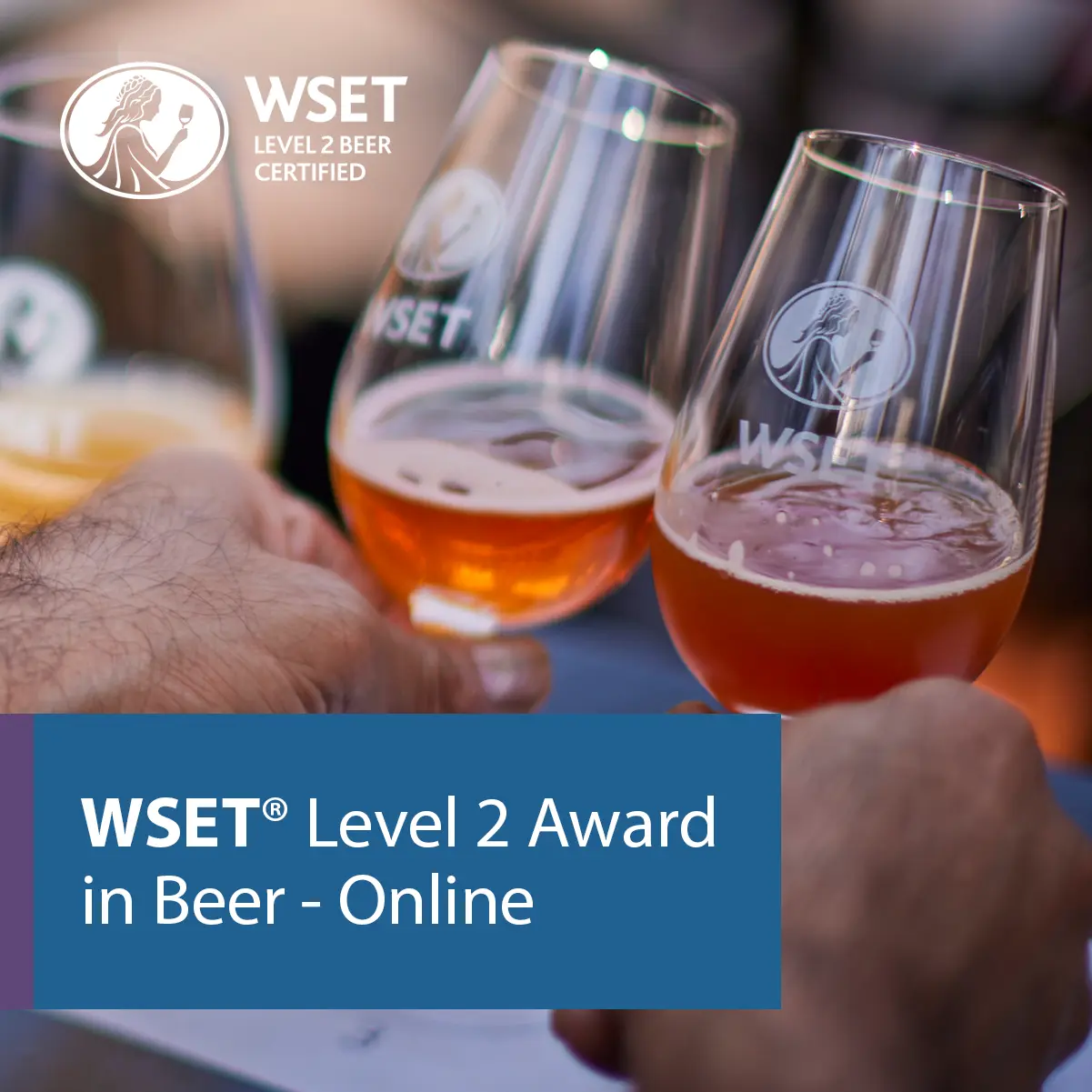 WSET Level 2 Wines E-learning edition